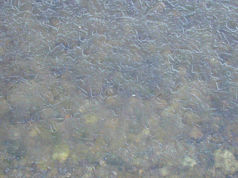 DSCN1879.jpg