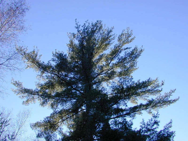 DSCN1890.jpg
