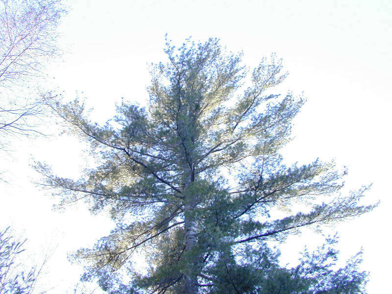 DSCN1893.jpg